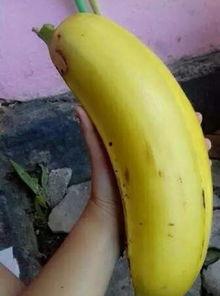 大香蕉亚洲国产,揭秘本土影视产业的崛起之路 第1张 大香蕉亚洲国产,揭秘本土影视产业的崛起之路 第1张