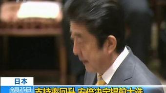 热国产热中文,探寻中国热能产业的蓬勃发展之路  第3张