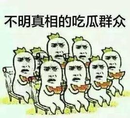 吃瓜群是干嘛的